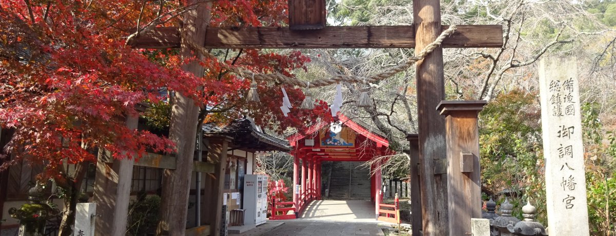 ⛩️ 미쓰키 하치만구 신사 (미쓰키하치만구) 이미지 1